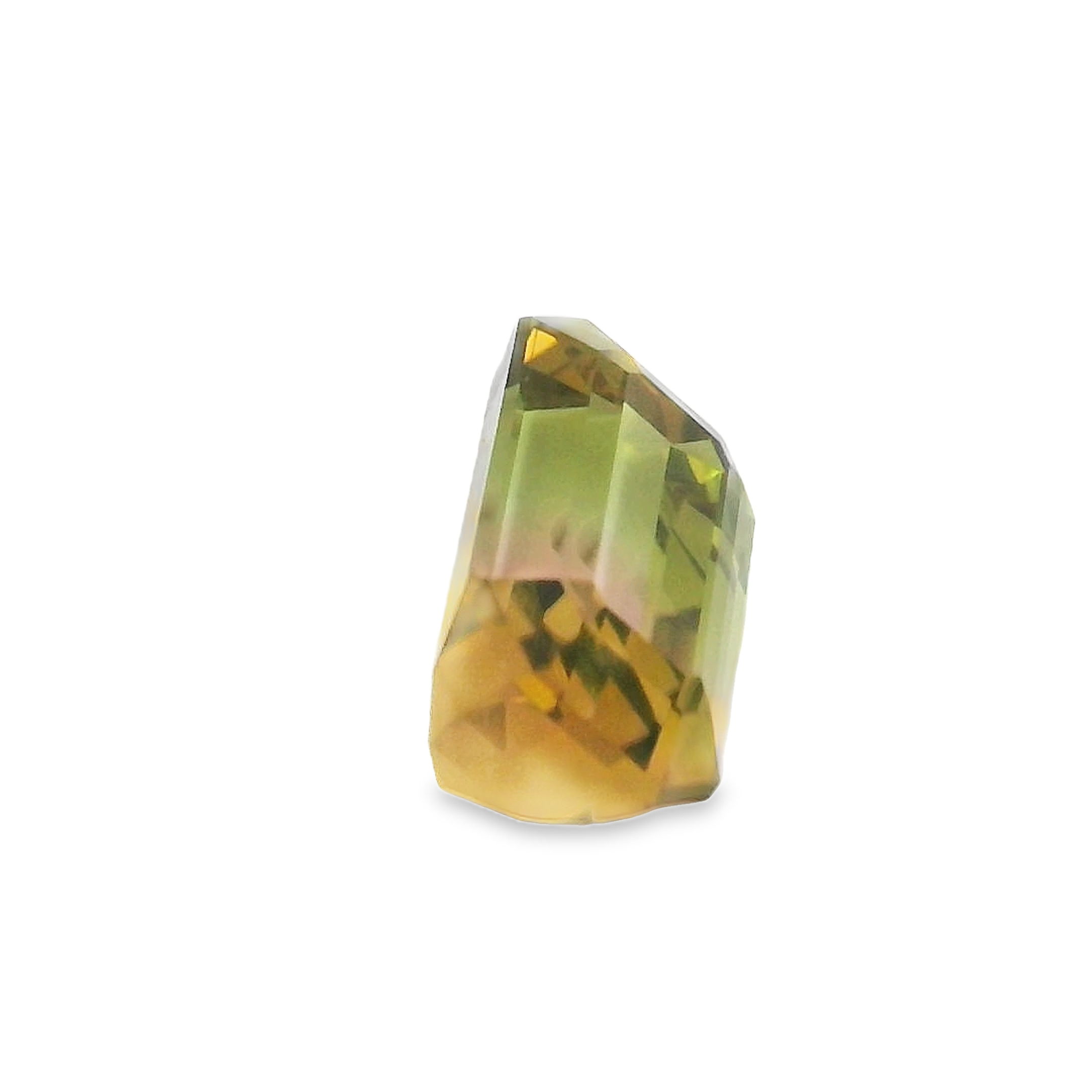 1.63ct Pink/Green Tourmaline